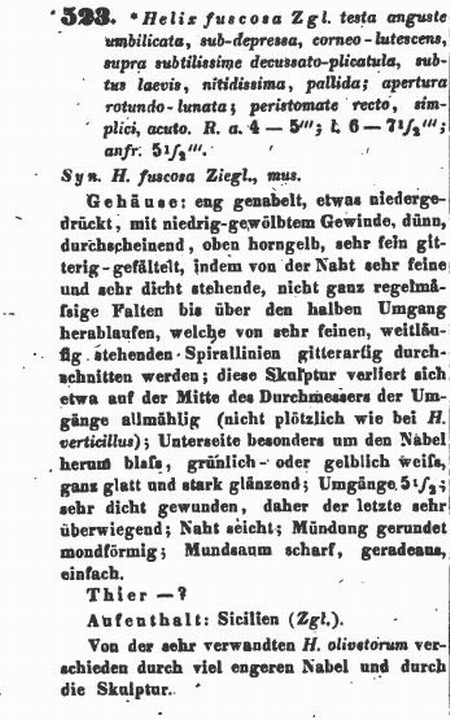 Oxychilus (Oxychilus) fuscosus (Rossmssler, 1838)